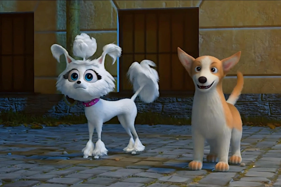 Dogs at the Opera